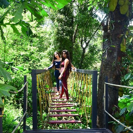 Hotel Misty Rain Estate Madikeri Zewnętrze zdjęcie