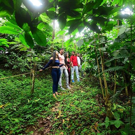 Hotel Misty Rain Estate Madikeri Zewnętrze zdjęcie