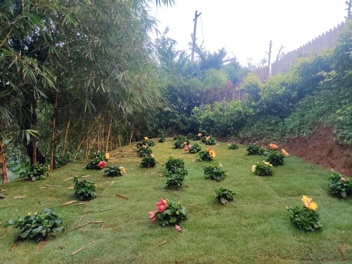 Hotel Misty Rain Estate Madikeri Zewnętrze zdjęcie