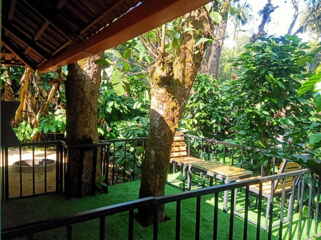 Hotel Misty Rain Estate Madikeri Zewnętrze zdjęcie