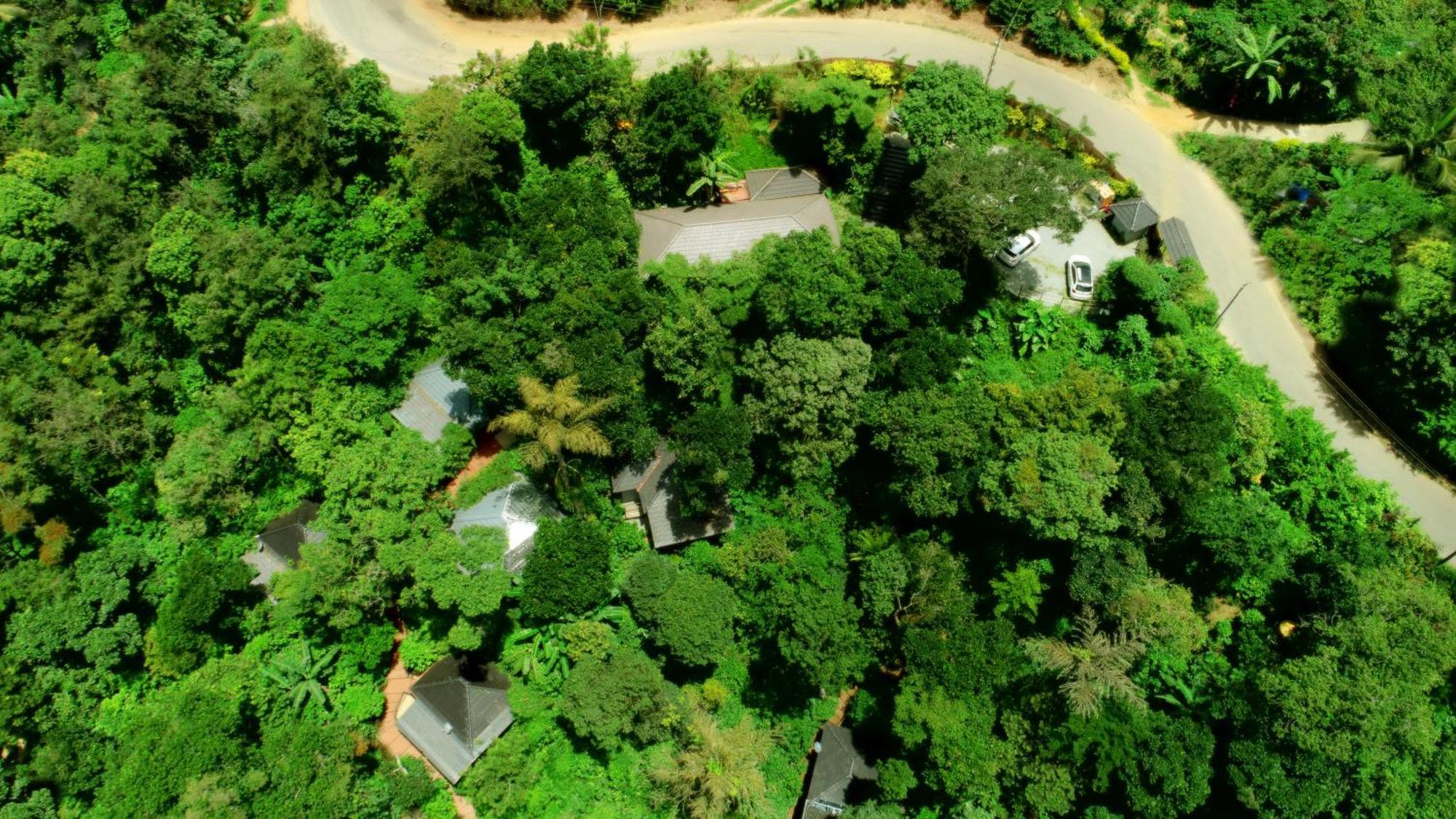 Hotel Misty Rain Estate Madikeri Zewnętrze zdjęcie
