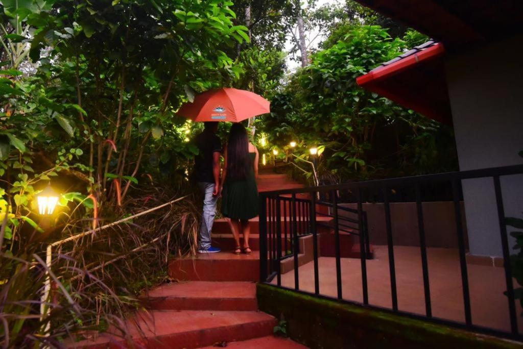 Hotel Misty Rain Estate Madikeri Zewnętrze zdjęcie