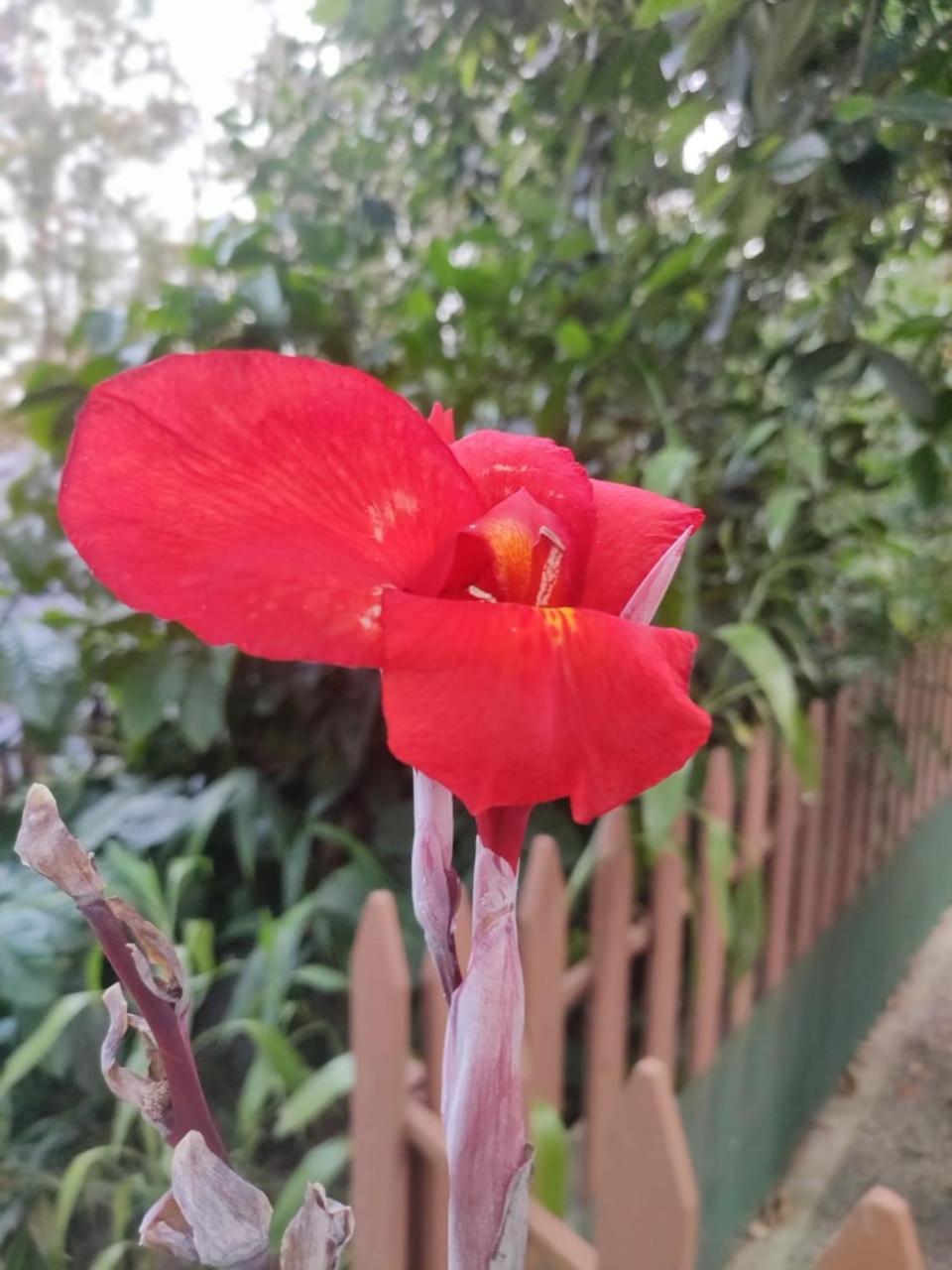 Hotel Misty Rain Estate Madikeri Zewnętrze zdjęcie