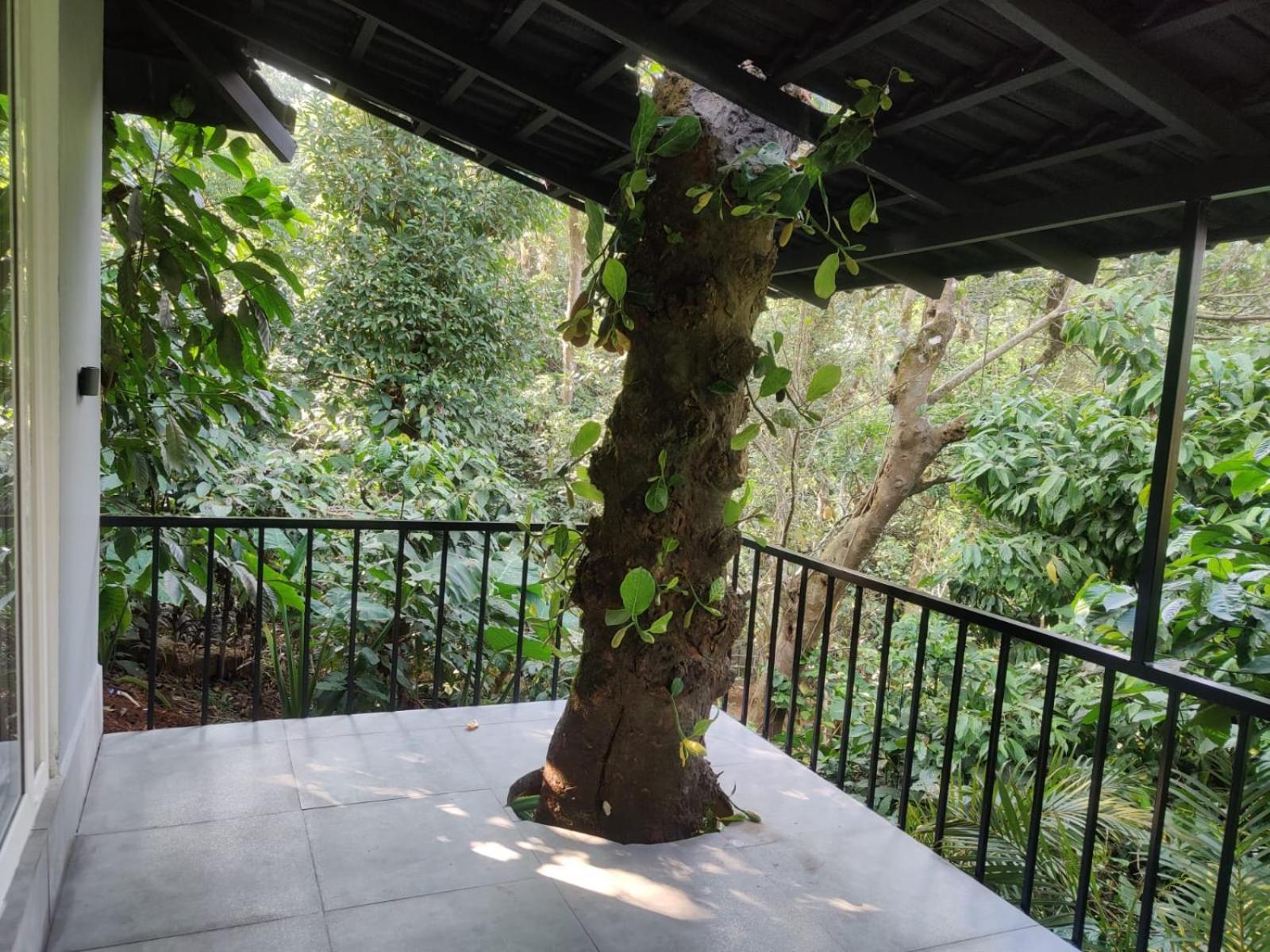 Hotel Misty Rain Estate Madikeri Zewnętrze zdjęcie