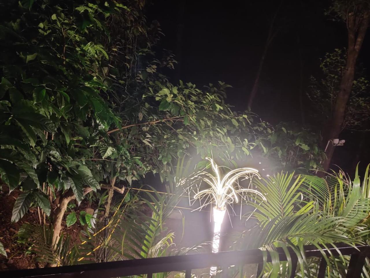 Hotel Misty Rain Estate Madikeri Zewnętrze zdjęcie