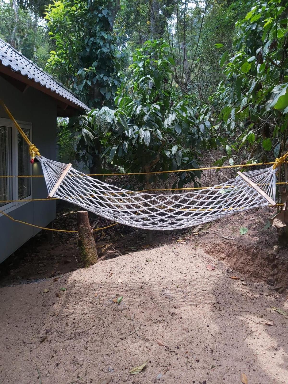 Hotel Misty Rain Estate Madikeri Zewnętrze zdjęcie